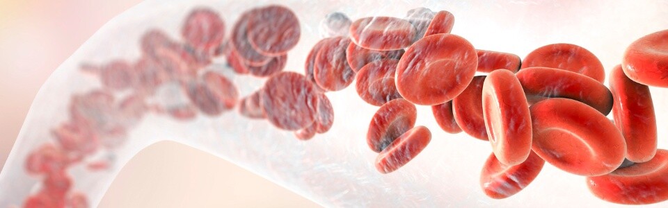 Oxigeno en sangre