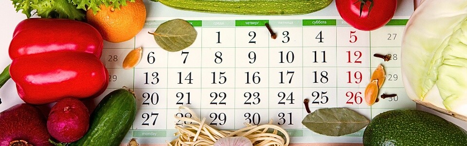 ¿Cuantos dias dura un plan detox