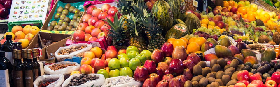 5 Dietas saludables para perder peso