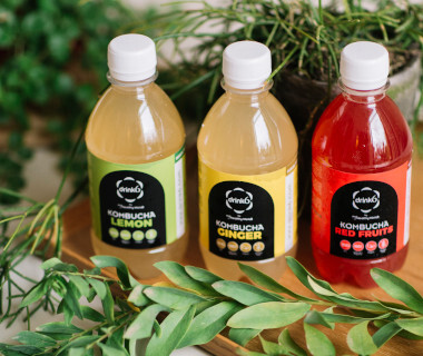 kombucha
